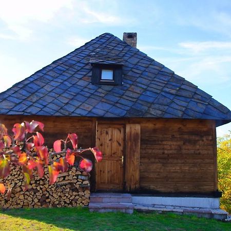 Cabin Menka Villa Sirogojno Exterior photo